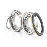 MERCEDES SPRINTER PORYA RULMANI ARKA 95-06 BSG A0019818905