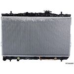 SU RADYATÖRÜ 01- HYUNDAI ELANTRA BSG 253102D110