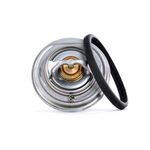 MERCEDES W124 TERMOSTAT 83-00 BEHR-T A6012000215