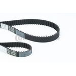 VW POLO TRİGER KAYIŞI CONTINENTAL 036109119AG