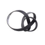 FORD FOCUS TRİGER KAYIŞI CONTINENTAL AV6Q6K288CA