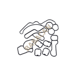 BMW F20 YAĞ SOĞUTUCU CONTA TAKIMI TM 11428580682