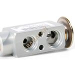 BMW E34 KLİMA VALFİ BTAP 64118362851