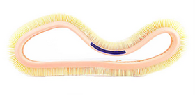 HAVA FİLTRESİ LX61-E172L 88-93 MERCEDES 190 W201 BSG A0030943804