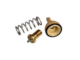 TERMOSTAT 05- VW GOLF5 BEHR-T 03C121110P