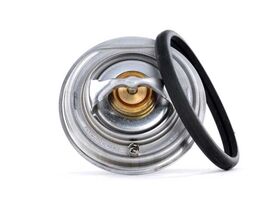 TERMOSTAT 83-00 MERCEDES W124 BEHR-T A6012000215