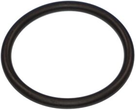 ORİNG RADYATÖR HORTUM 2001-2021 MERCEDES W203 BSG A0269976845