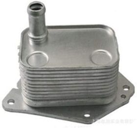 YAĞ SOĞUTUCUSU 06-09 HYUNDAI ACCENT ERA BSG 264102A150