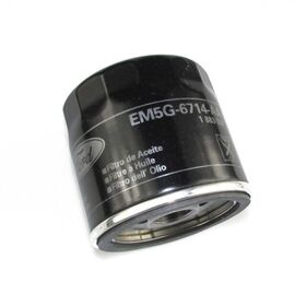 YAĞ FİLTRESİ 95- FORD FOCUS BSG EM5G6714AA