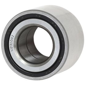 PORYA RULMANI ARKA 01- OPEL CORSA C BSG 1604007